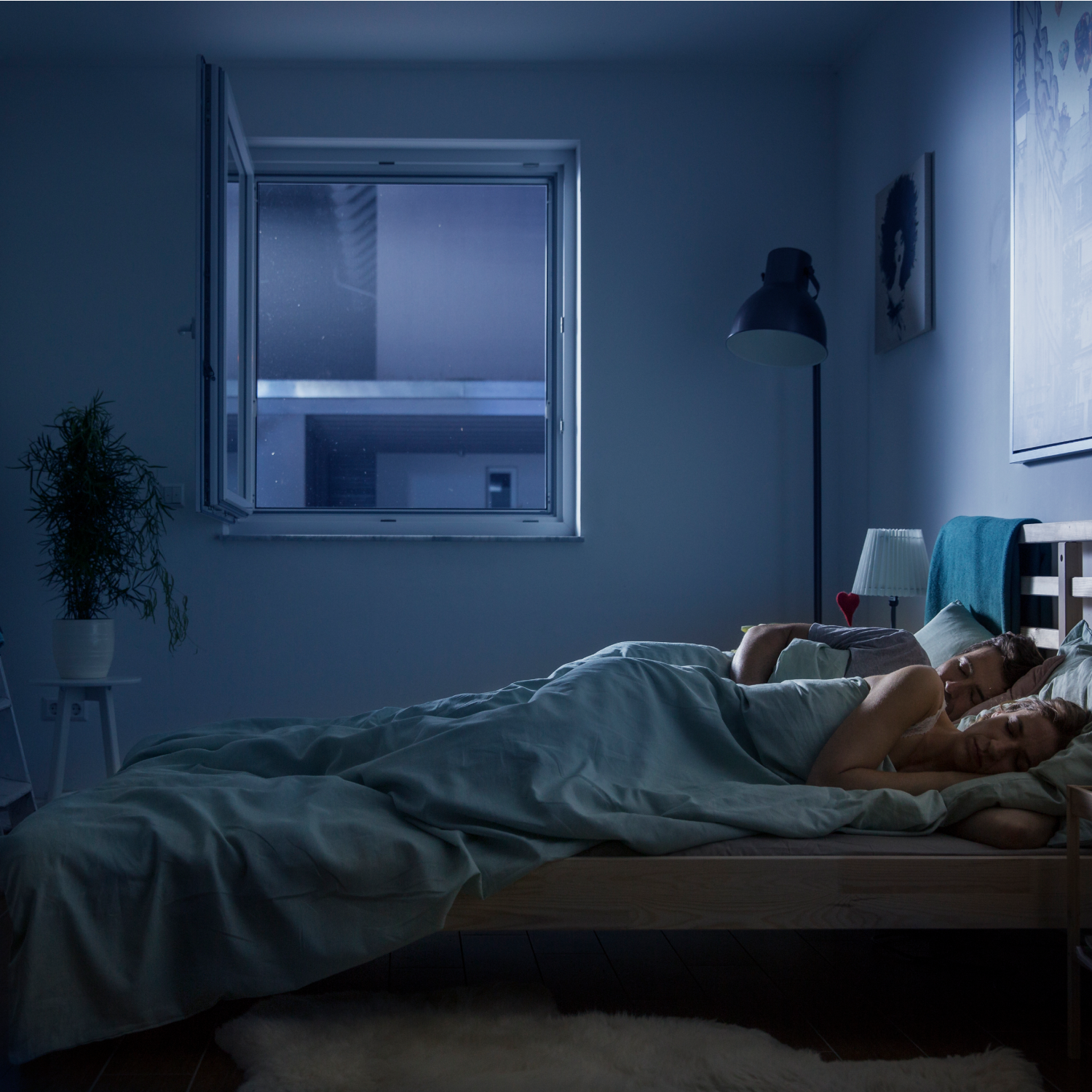 insektenschutz-rollo-4-1