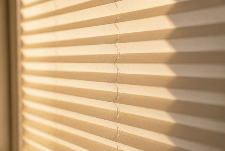 sundimmer-about6-768x515